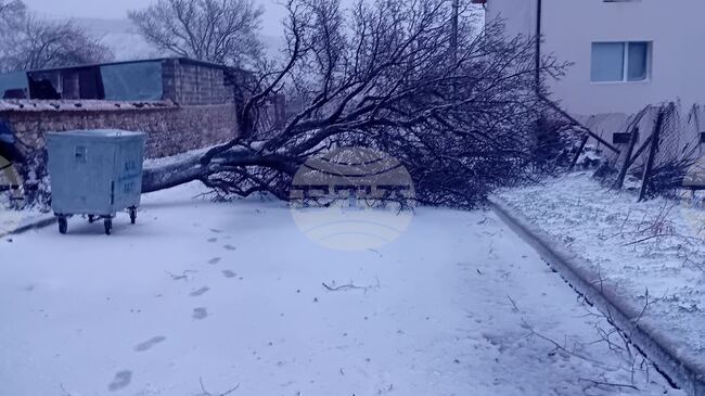 Екипи на пожарната в Сливен са се отзовали на 14 сигнала за паднали дървета през изминалото денонощие