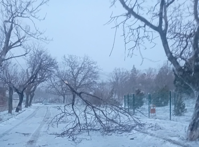 Община Сливен: Сигнали за паднали дървета, начупени керемиди и повреда на тролейбусната мрежа в Сливен заради лошото време 