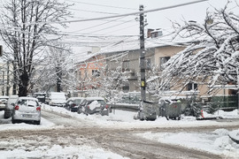 Плевен - зимна обстановка