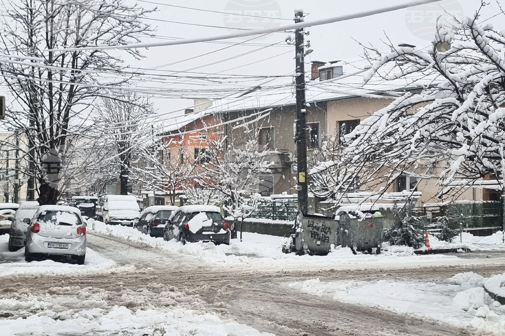 Плевен - зимна обстановка