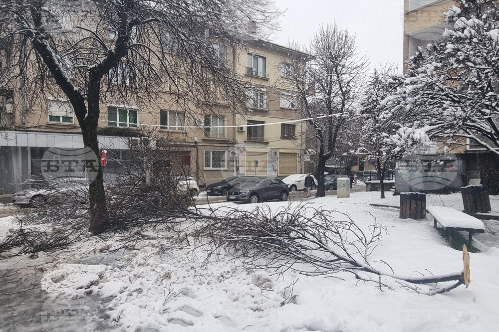 Плевен - зимна обстановка