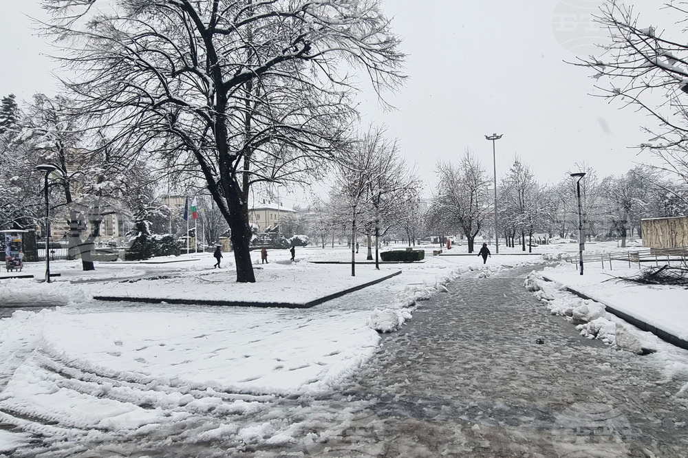 Плевен - зимна обстановка