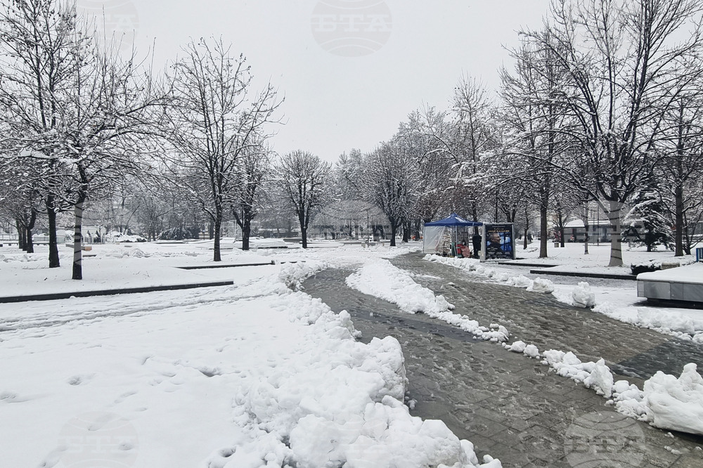 Плевен - зимна обстановка