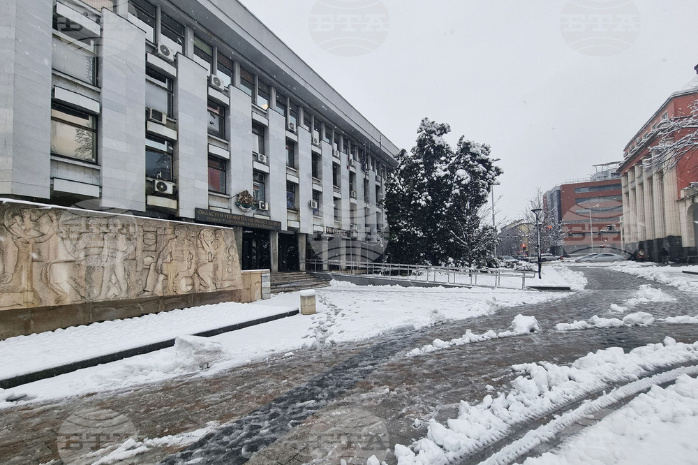 Плевен - зимна обстановка