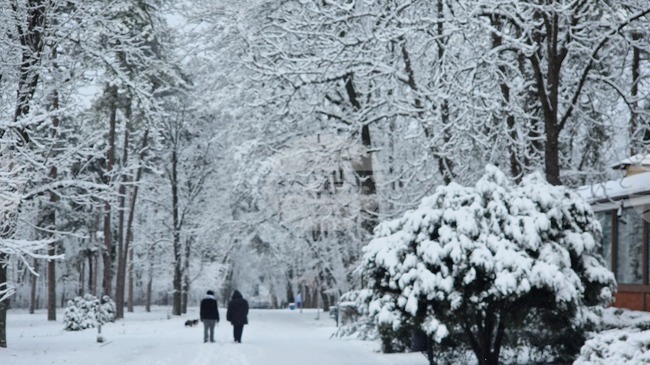 Усложнена е зимната обстановка в област Разград, изградени са контролно-пропускателни пунктове на две места