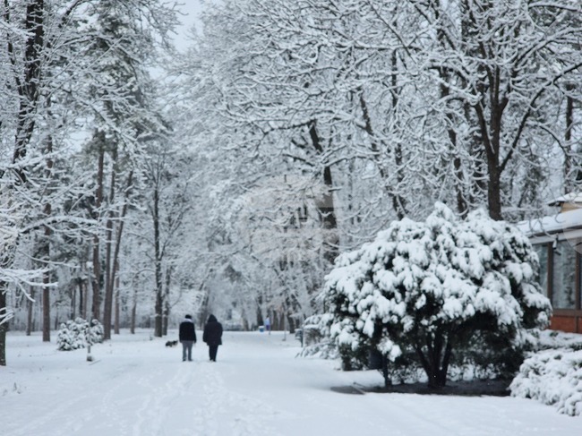 Усложнена е зимната обстановка в област Разград, изградени са контролно-пропускателни пунктове на две места