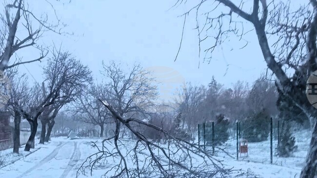 Силният вятър остави населени места без ток и предизвика аварии в Сливен