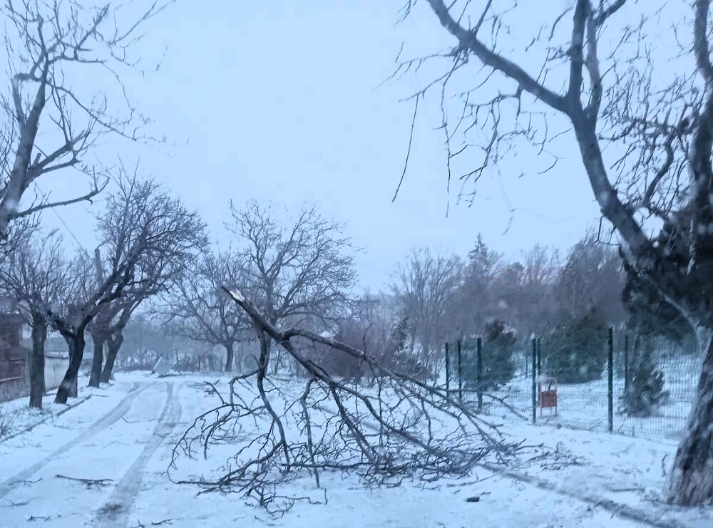Силният вятър остави населени места без ток и предизвика аварии в Сливен