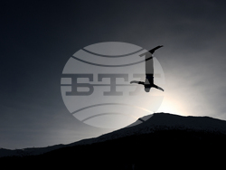 Milan Cortina Olympics Freestyle Skiing