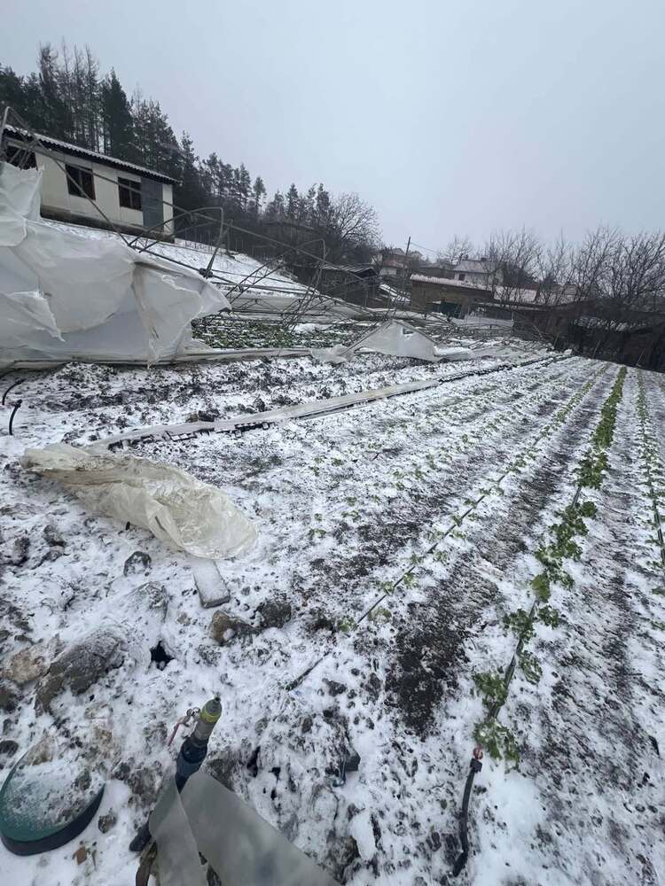 Общинските оранжерии за екологично чисти зеленчуци край Казанлък са унищожени вследствие на влошените метеорологични условия