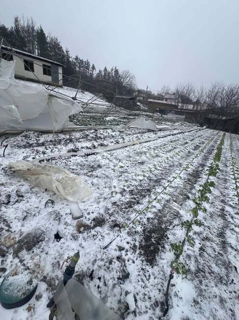 Общинските оранжерии за екологично чисти зеленчуци край Казанлък са унищожени вследствие на влошените метеорологични условия