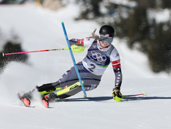 Milan Cortina Olympics Alpine Skiing