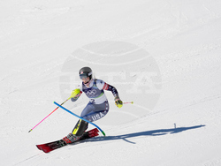 Milan Cortina Olympics Alpine Skiing
