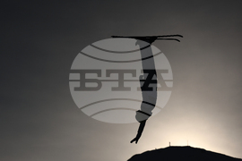 Milan Cortina Olympics Freestyle Skiing