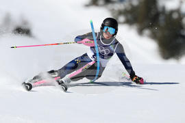 Milan Cortina Olympics Alpine Skiing