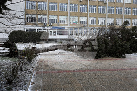 Варна - силен вятър - паднало дърво