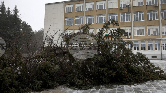Три улични отсечки във Варна са временно затворени за движение заради нестабилност на висок пилон за знамена в квартал „Бриз“ 