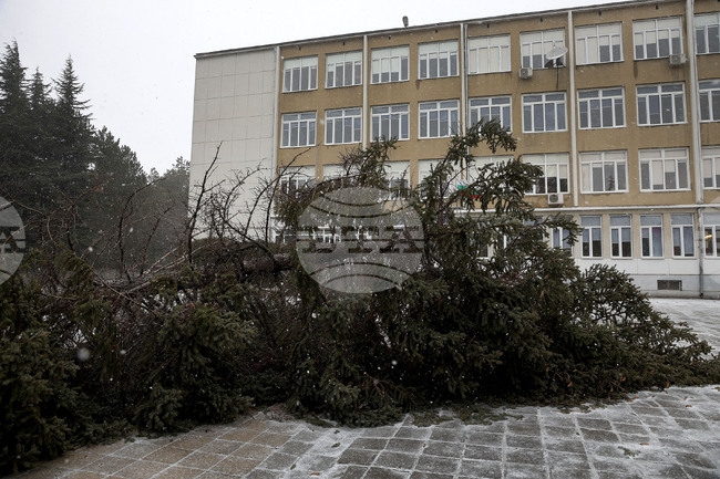 Три улични отсечки във Варна са временно затворени за движение заради нестабилност на висок пилон за знамена в квартал „Бриз“ 