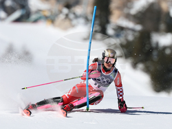 Milan Cortina Olympics Alpine Skiing