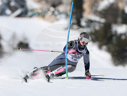 Milan Cortina Olympics Alpine Skiing