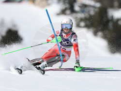 Milan Cortina Olympics Alpine Skiing
