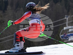 Milan Cortina Olympics Alpine Skiing