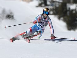 Milan Cortina Olympics Alpine Skiing