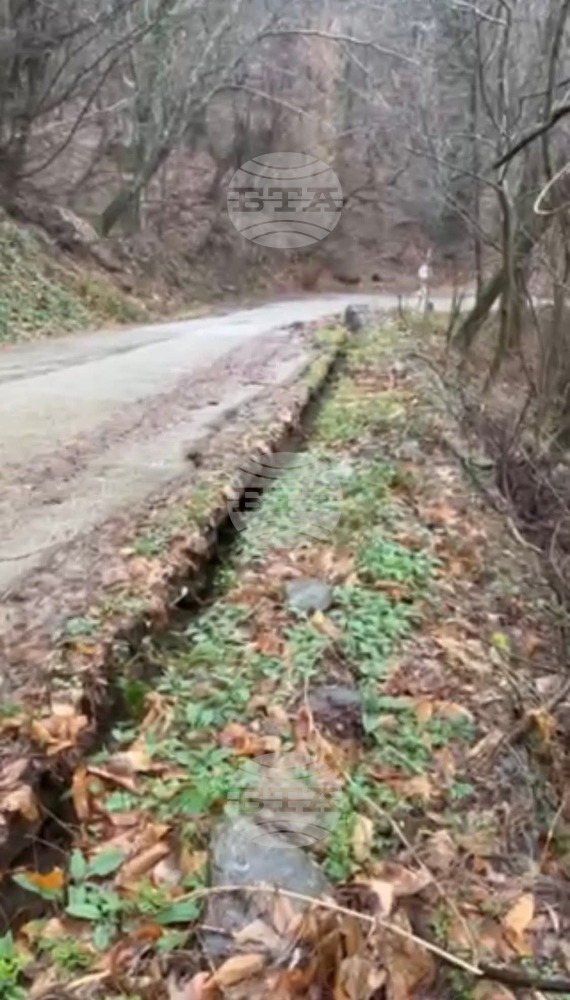 Община Петрич предприема мерки за обезопасяване на пътя към хижа "Беласица" след интензивни валежи