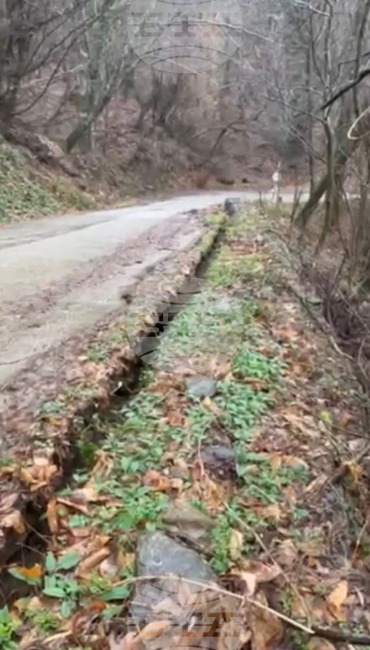 Община Петрич предприема мерки за обезопасяване на пътя към хижа "Беласица" след интензивни валежи