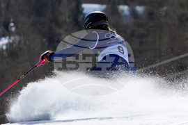 Milan Cortina Olympics Alpine Skiing