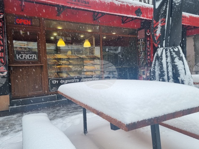 Продажбите на едро в област Търговище намаляват с 2,8 на сто през 2024 г., отчита статистиката 