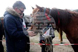 Село Тенево - празник