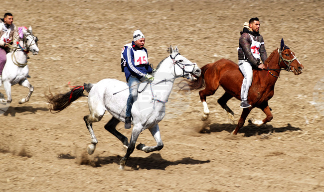 Село Тенево - празник