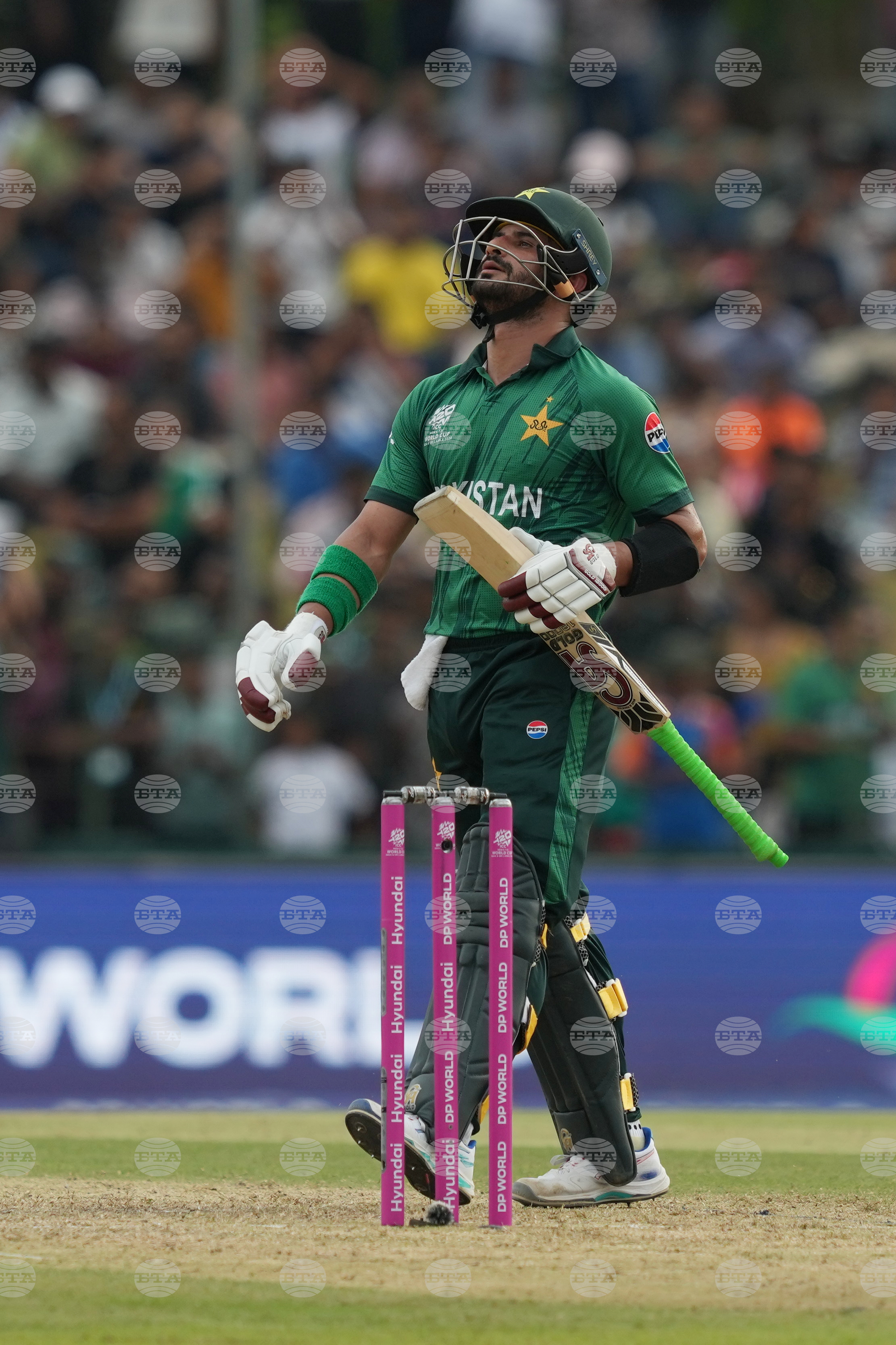 Namibia Pakistan T20 WCup Cricket