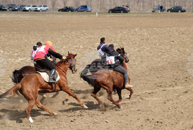 Пролетен празник на коня и конния спорт ще се състои в тунджанското село Тенево