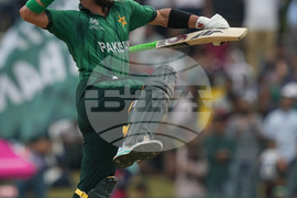 Namibia Pakistan T20 WCup Cricket