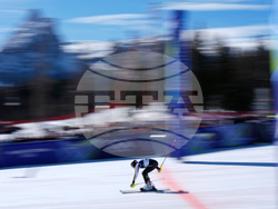 Milan Cortina Olympics Alpine Skiing