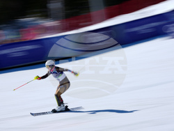 Milan Cortina Olympics Alpine Skiing