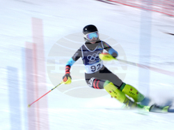 Milan Cortina Olympics Alpine Skiing