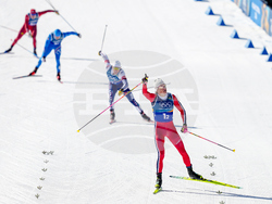 Milan Cortina Olympics Cross Country