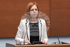 Народно събрание - заседание