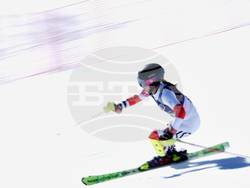 Milan Cortina Olympics Alpine Skiing