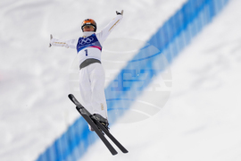 Milan Cortina Olympics Freestyle Skiing