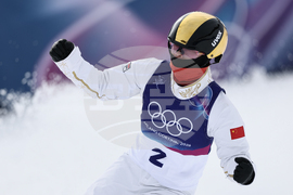 Milan Cortina Olympics Freestyle Skiing
