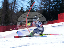 Milan Cortina Olympics Alpine Skiing