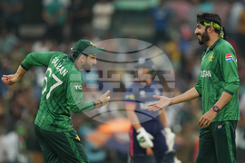 Namibia Pakistan T20 WCup Cricket