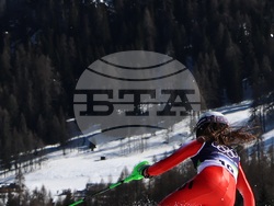 Milan Cortina Olympics Alpine Skiing