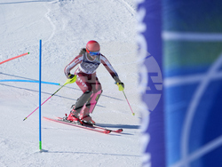 Milan Cortina Olympics Alpine Skiing