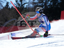 Milan Cortina Olympics Alpine Skiing