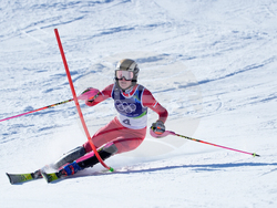 Milan Cortina Olympics Alpine Skiing